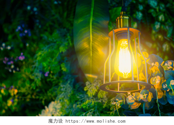 森林边发光的路灯在森林绿色的植物背景，丛林咖啡馆室内装饰灯.